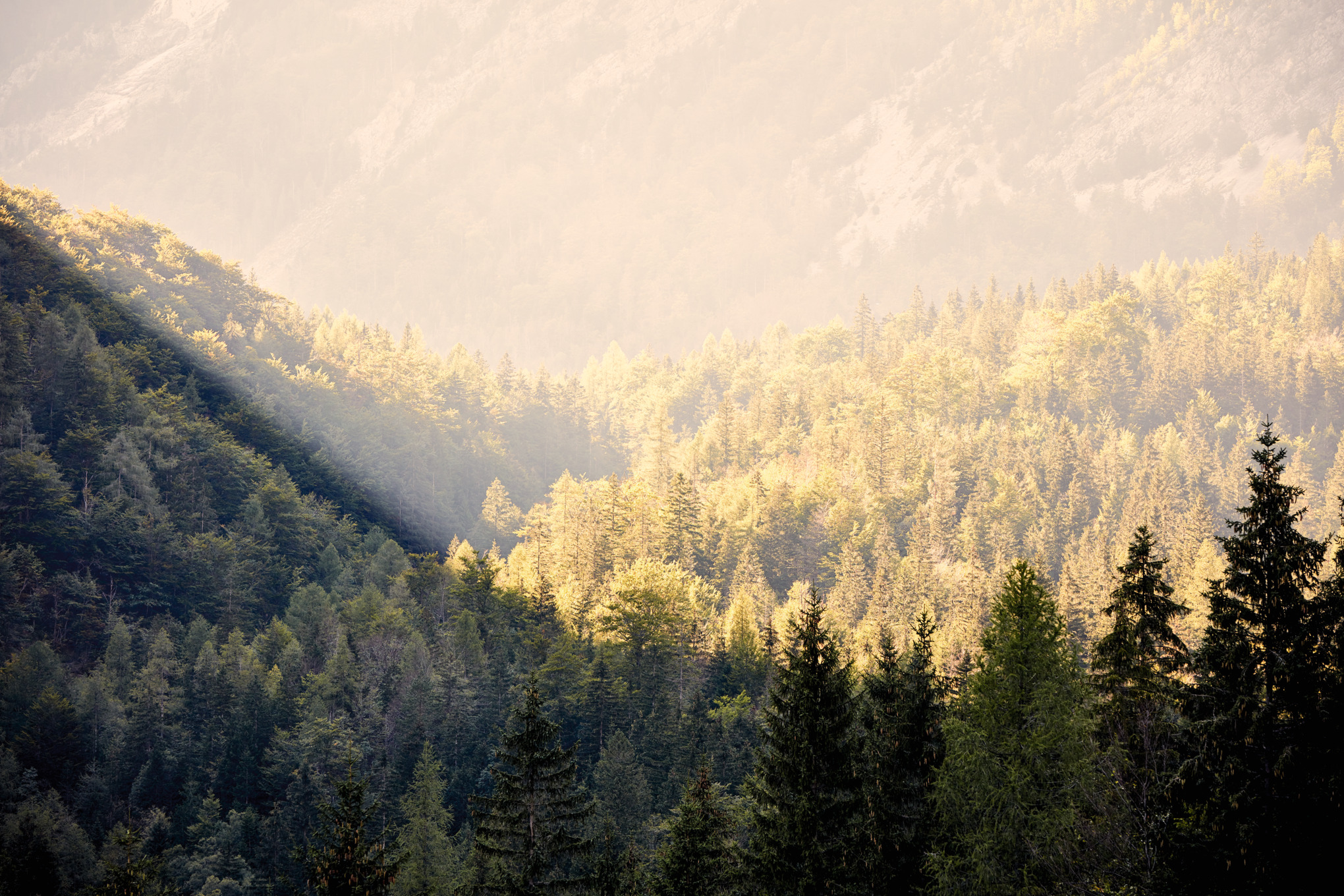 STIHL sales companies worldwide